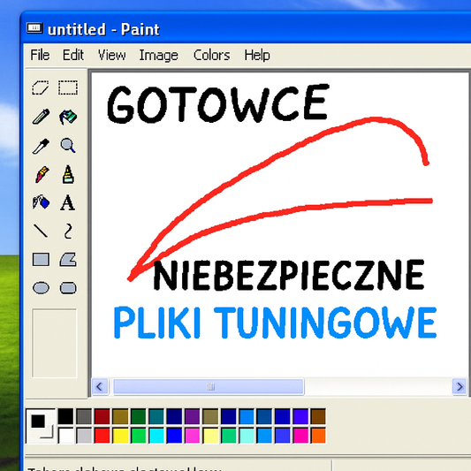 Co to "gotowce"? Niebezpieczne pliki do chip tuningu