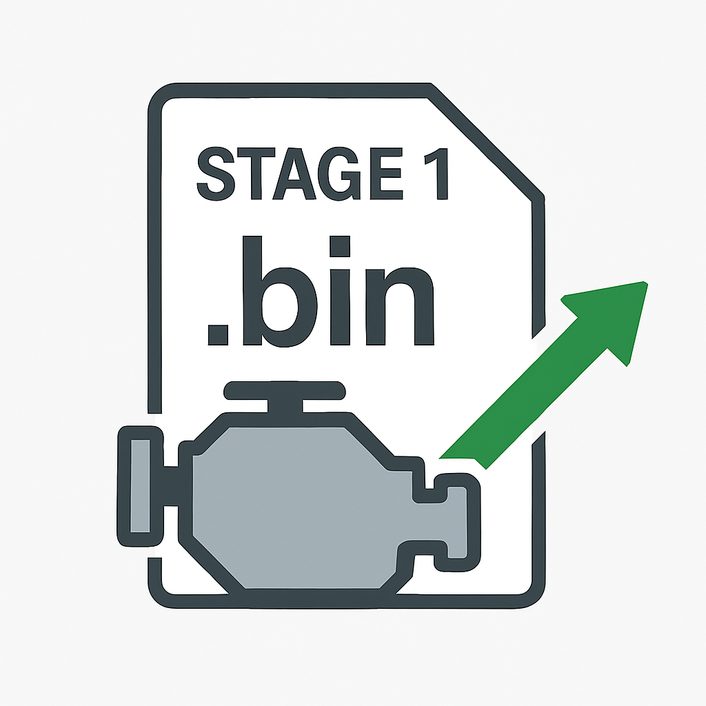 File modification (STAGE1) Gasoline