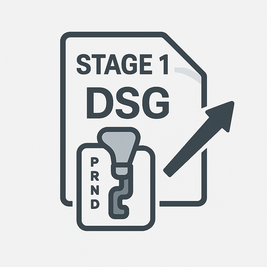 File modification (STAGE1) Gasoline