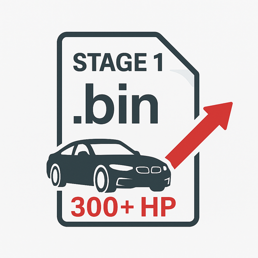 File modification (STAGE1) Gasoline